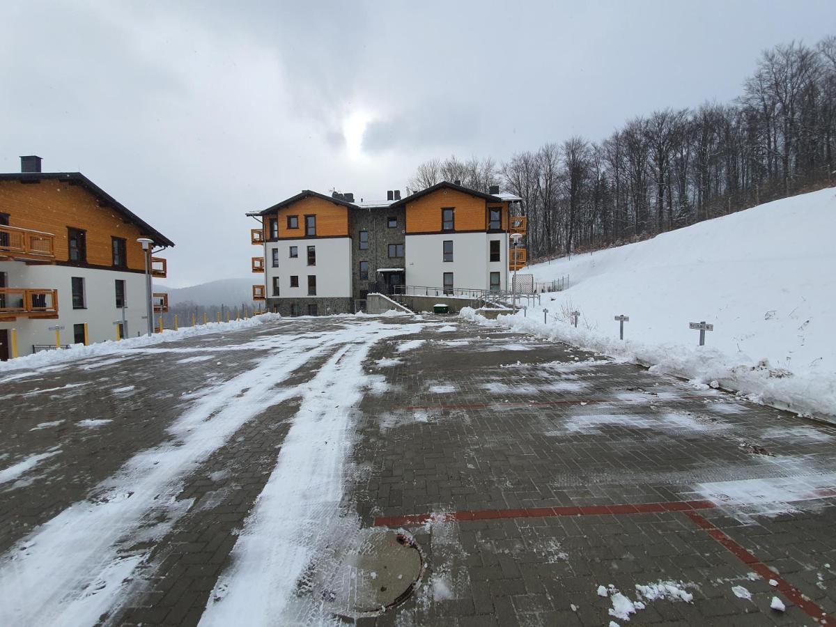 Appartement Skalny Widok 10 à Szklarska Poreba Extérieur photo